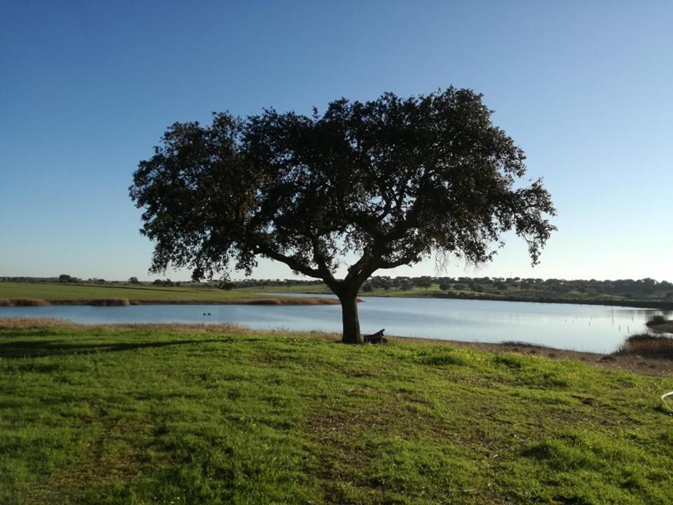 Monte Da Figueira Villa Amareleja Buitenkant foto