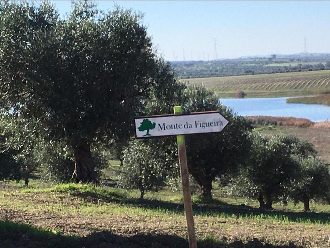 Monte Da Figueira Villa Amareleja Buitenkant foto