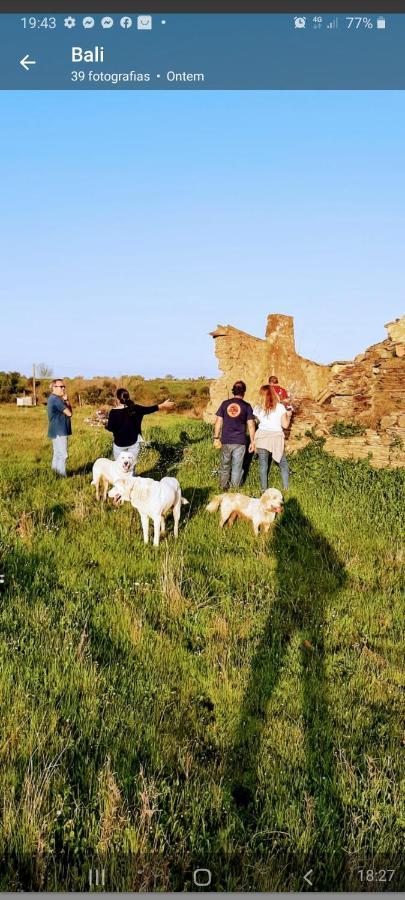 Monte Da Figueira Villa Amareleja Buitenkant foto