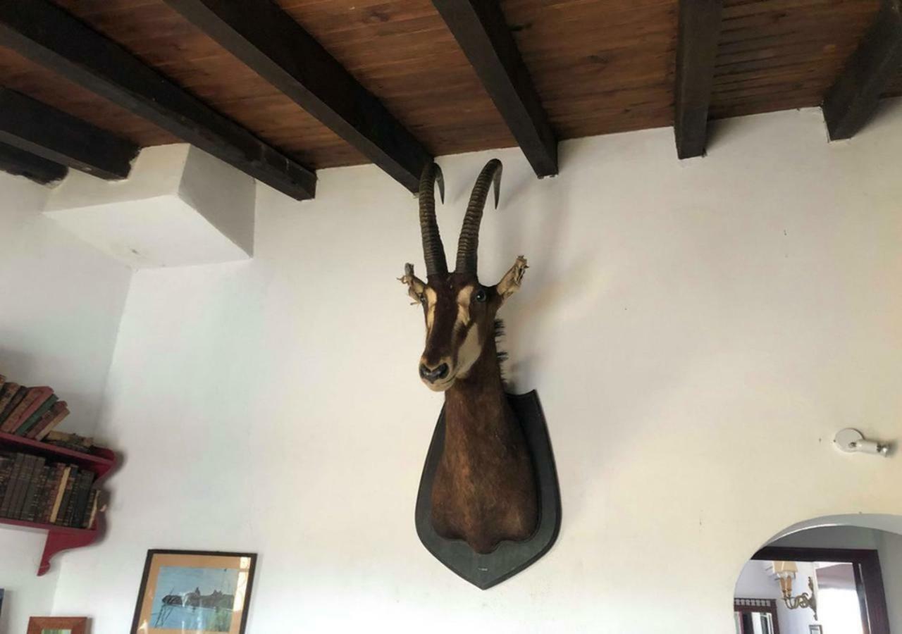 Monte Da Figueira Villa Amareleja Buitenkant foto